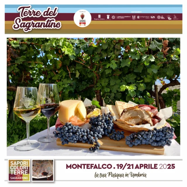 La Pasqua è dietro l'angolo. Se non avete ancora scelto la vostra destinazione Vi invitiamo ad approfittare delle nostre offerte last minute : 
https://l.facebook.com/l.php?u=https%3A%2F%2Fbooking.slope.it%2F0fd0c87c-6ce8-416c-ad00-8187775de17e%3F_gl%3D1*1te4mis*_ga*MTgyOTAyMTM1OC4xNzAyODg2NjQy*_ga_PM2BJK32T1*MTc0NDY0NzQ5MS4xMDIzLjEuMTc0NDY0NzQ5Ni41NS4wLjk3Mjk3MTgzOA%26fbclid%3DIwZXh0bgNhZW0CMTAAAR5gP7J_pPZs80Ij8ey5ef7UN9tY12bB54gQe_jt1IUI0eE8G8rzTHPianK4Vg_aem_s0FMLFqF-QdSLq39qAu_aQ&h=AT05oiXIp5CTE8VgW1FnjKjTH0HroBDl9BYDhuhC64P7OzHVMk5yIkR9Fvr-7M9k--mkdiC7ecF2nrApcI6TT53bgpJWy7M-bq0Wu5Vdf1F49yCr6ea9qxl1Yt8_bxq_eoYHbKqtQ9AKoBoN&__tn__=-UK-R&c[0]=AT3zkdOlQ9LY7VGUQicrw4DVBOn4wy4fldviosMS7ZFLdNXLQFCbhAlQQ-29GZ8BqUzZzgAbA6uWzzq8VJZSA6F9sFTc1kKkB-NT9R-5XMhiXjYdVWEwSmkiqF6ljo3yqjjPW4zLP2UdGMrnDa3mU-qLNmbKlAQSkvG0P8pSSM_12OZF5GBG6PfeEU3cMrlZkxHltg

#follower #easteregghunt #Umbria #winelovers🍷