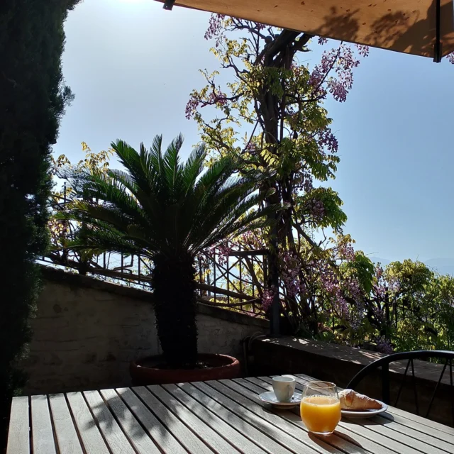 Sunny mornings at Palazzo Bontadosi ...

#palazzobontadosi #morningvibes #sunnyday☀️ #relaxinumbria